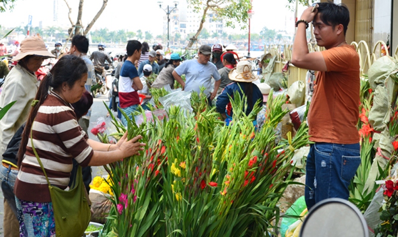 Hoa lay ơn đến từ Đà Lạt, Phú Yên, Quảng Ngãi thường được ưa chuộng mỗi dịp Tết đến
