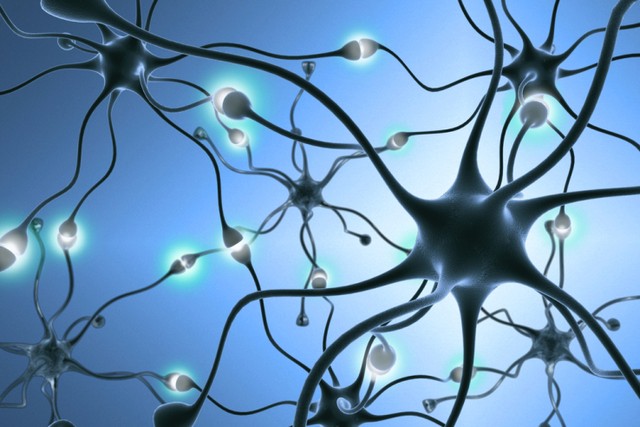 Hình ảnh sóng não được tạo ra từ các tế bào thần kinh.