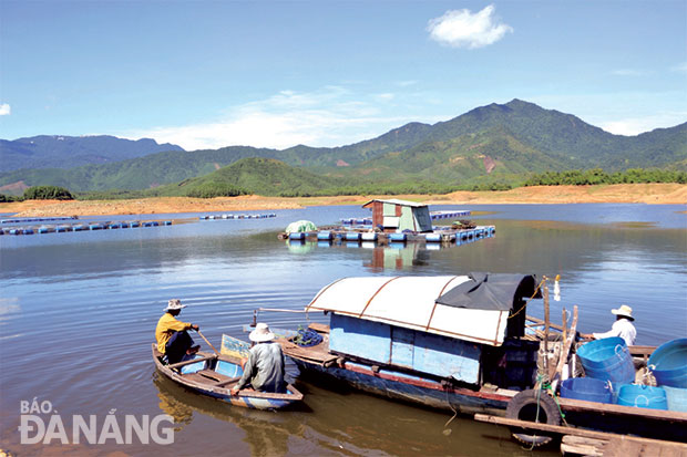 Những bè nuôi cá lồng của hộ ông Lê Minh ở hồ Hòa Trung.