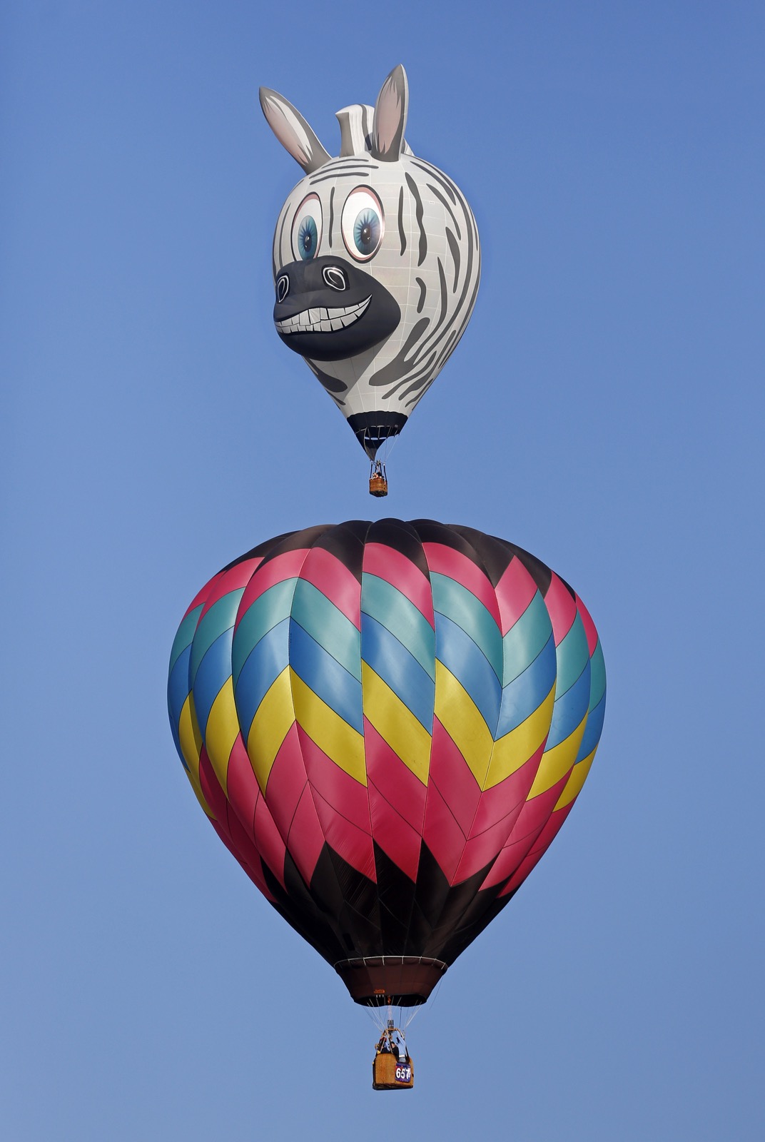 Một khí cầu hình đầu con ngựa vằn và một khí cầu khác hình tròn. Ảnh chụp bởi Andres Leighton.