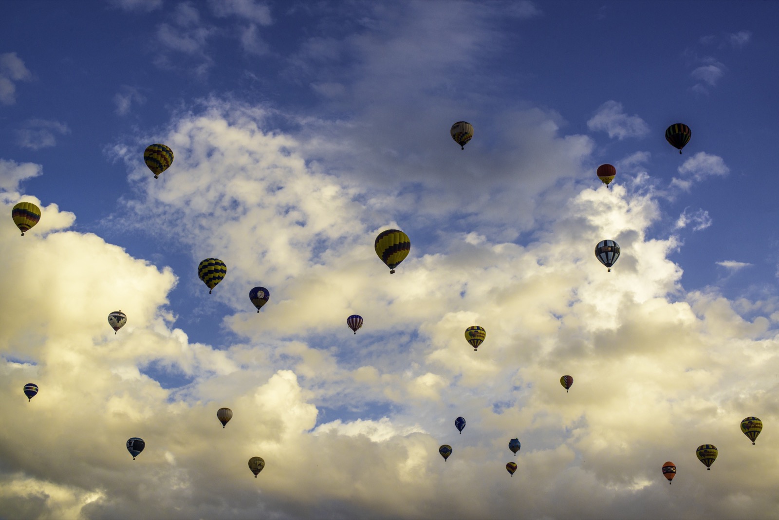Những quả khí cầu khổng lồ khi nhìn từ xa. Ảnh chụp bởi Leo York.