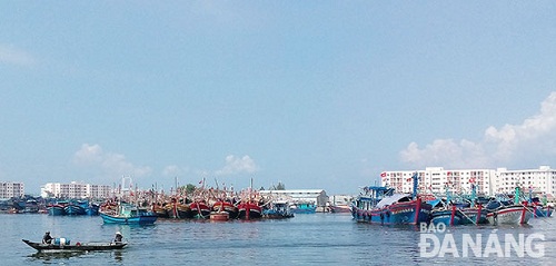 The Tho Quang fishing wharf full of fishing boats