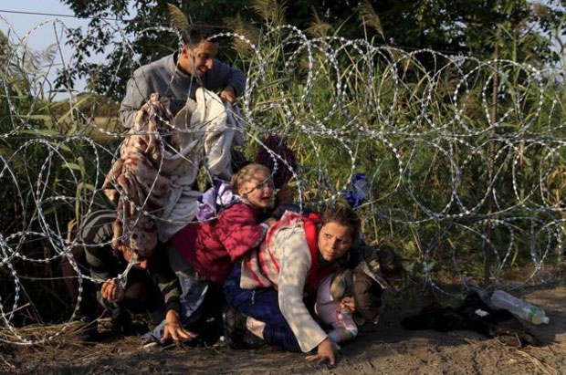 Người tị nạn Syria chui hàng rào kẽm gai ở biên giới Hungary – Serbia. Để chụp được bức ảnh “giàu cảm xúc” này, nữ phóng viên Bernadette Szabo đã quan sát, kiên nhẫn chờ đợi, bấm máy đúng lúc, và không báo động cho cảnh sát. 