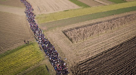 Hình ảnh nhìn từ trên cao đoàn người di cư đang băng qua một cánh đồng giữa biên giới Croatia và Slovenia để đi sâu vào khu vực châu Âu giàu có hơn.
