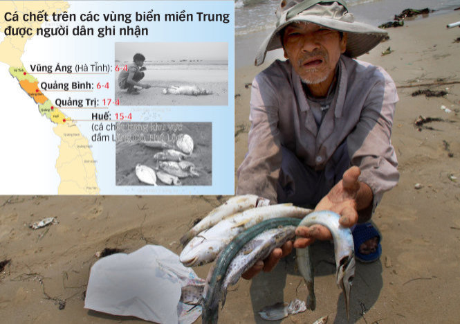 Một người dân bên đống cá biển chết dạt vào bờ miền Trung - Tư liệu Tuổi Trẻ