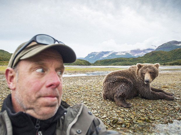 Nhiếp ảnh gia Paul Souders “chụp ảnh tự sướng” với gấu xám ở Công viên quốc gia Katmai, Alaska. 