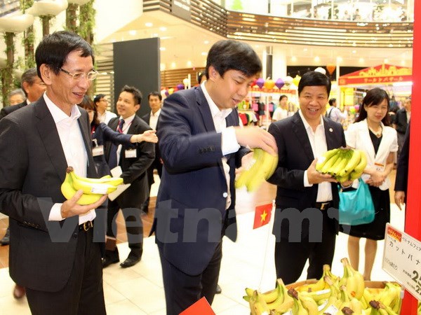 Các đại biểu thăm quan gian hàng bán chuối của Việt Nam tại triển lãm. Ảnh: Vietnam+ 