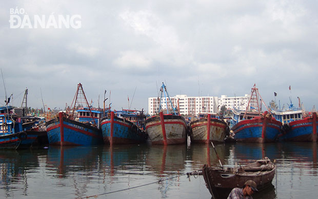 Tàu cá Đà Nẵng và các tỉnh về neo đậu  tại Âu thuyền Thọ Quang tránh áp thấp nhiệt đới tháng 10-2016.