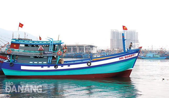 10 năm trở lại đây, ngư dân quận Thanh Khê đã mạnh dạn đầu tư đóng mới tàu lớn vươn khơi hiệu quả.