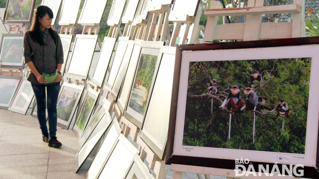 Triển lãm diễn ra đến hết ngày 15-1 tại Công viên vườn hoa 84 Hùng Vương.