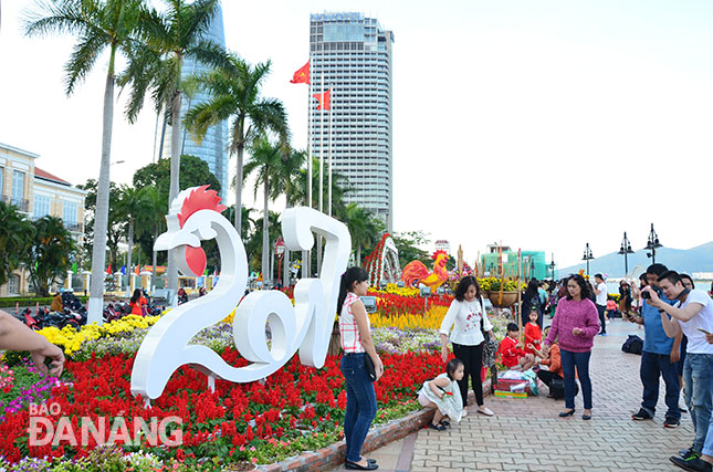  Người dân du xuân tại khu vực đường hoa trước trụ sở Hội đồng Nhân dân thành phố Đà Nẵng.Ảnh: MINH TRÍ