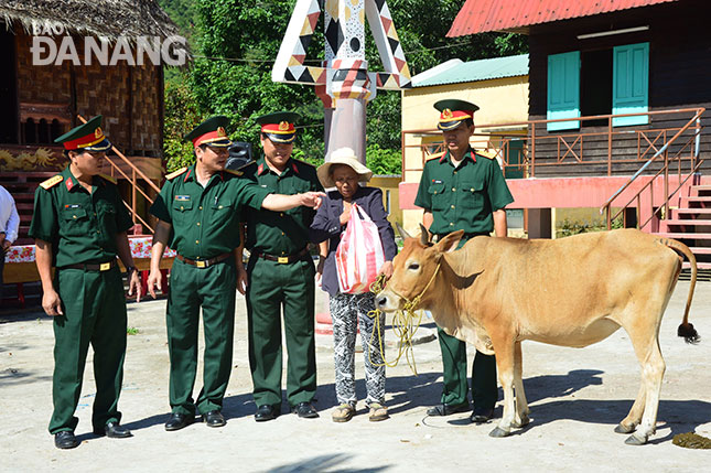 Bộ Chỉ huy Quân sự thành phố tặng bò giống cho bà con xã Hòa Bắc, huyện Hòa Vang.