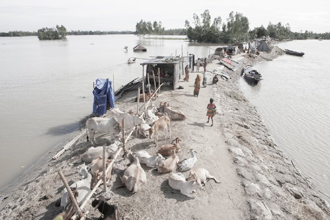 Người dân Bangladesh kéo tới đập Fulchori để dựng nhà tạm sinh hoạt bởi nhà của họ đã bị lũ cuốn trôi năm 2016.