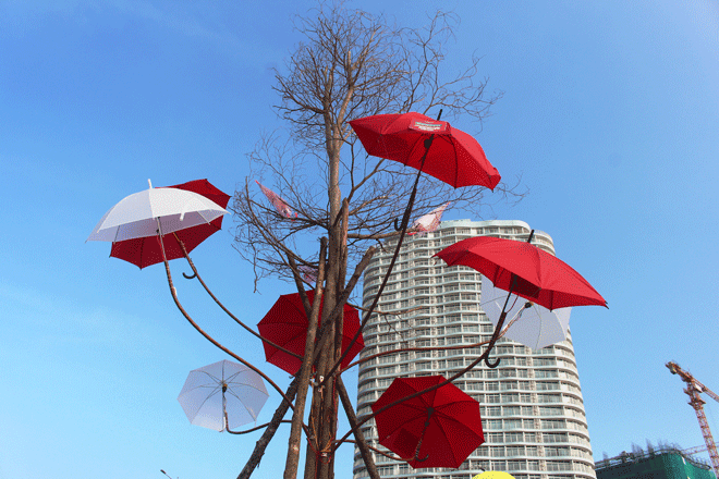 “Cây dù” giữa phố