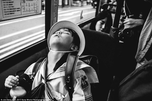 Nhiếp ảnh gia Jian Seng Soh, người đã chụp được bức ảnh này tại Kyoto, Nhật Bản, đã viết: 