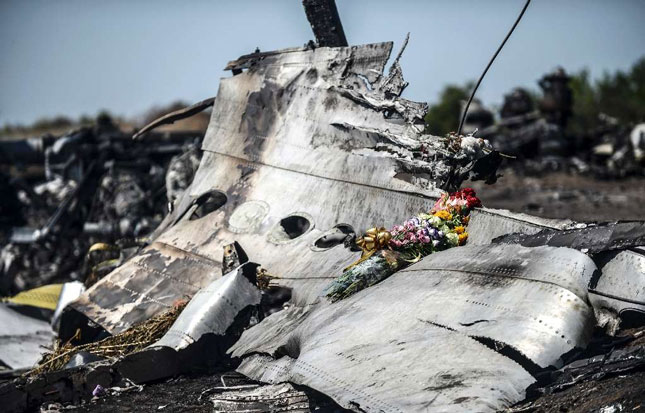 Máy bay MH17 bị bắn rơi ở đông Ukraine vào tháng 7-2014.	                                     Ảnh: AFP