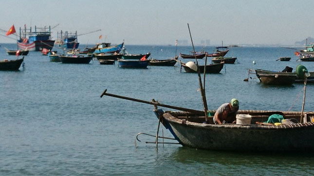 Những chiếc ghe đánh bắt gần bờ làm nên đặc trưng văn hóa các vùng biển Nam Ô, Mân Thái, Thọ Quang của Đà Nẵng. Ảnh: H.N