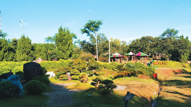 Vườn bonsai, đá cảnh được sưu tầm và bố trí rất hài hòa với thiên nhiên.