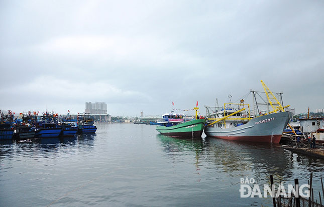 Đà Nẵng sẽ có nhiều chính sách hỗ trợ ngư dân vươn khơi.