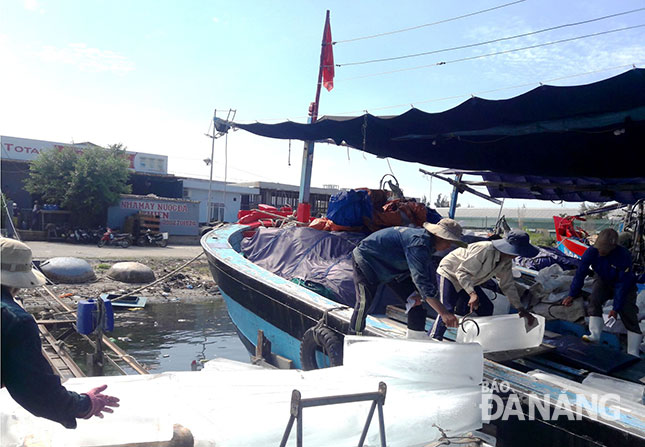 Ngư dân Đà Nẵng khẩn trương bốc đá lên tàu, chuẩn bị cho chuyến ra khơi. Ảnh: NGỌC PHÚ