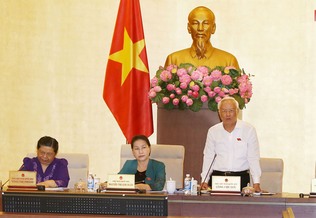Phó Chủ tịch Quốc hội Uông Chu Lưu phát biểu tại phiên họp.                        		 Ảnh: TTXVN