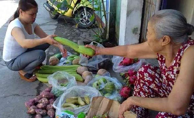 Chị Diễm (bìa trái) đang phân loại các loại rau, củ, quả sau khi thu gom từ chợ.