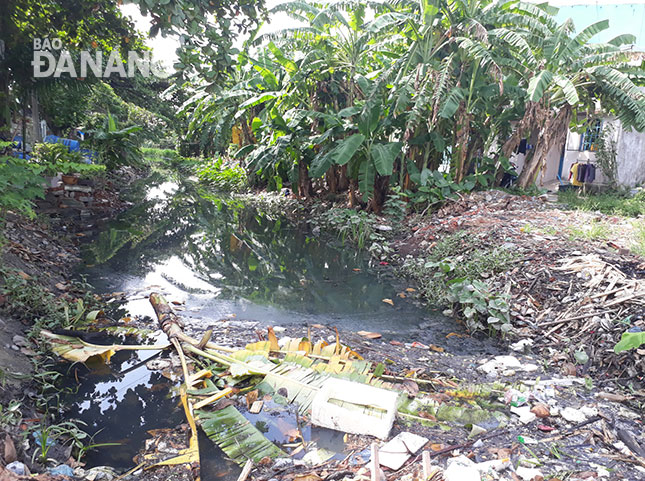 Việc xả rác bừa bãi gây ách tắc cục bộ ở nhiều đoạn kênh Khe Cạn tại khu vực tổ 9, phường Hòa An. 
