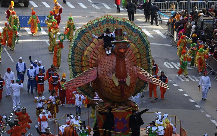   Ấy thế nhưng chú gà tây tên Tom này lại “đường hoàng” diễu hành qua trung tâm New York.