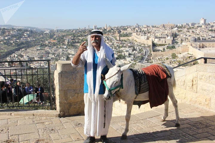 Một người đàn ông dắt lừa đi qua khu vực Núi Đền ở Jerusalem.