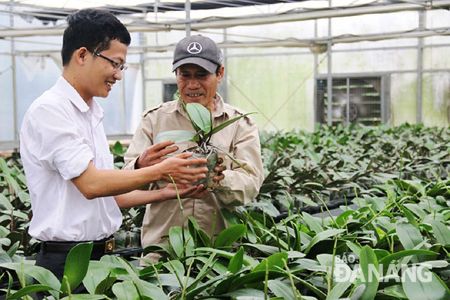 Anh Nguyễn Phi Hoàng (trái), kỹ sư Trạm Sản xuất kinh doanh, Trung tâm Công nghệ sinh học Đà Nẵng trao đổi với người chăm sóc lan các cách chăm bón phù hợp ở giai đoạn lan chuẩn bị ra hoa.  								               Ảnh: THANH TÌNH