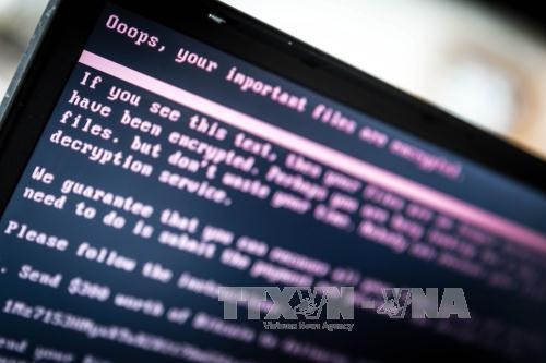 As many as 597 cyber attacks were launched on Vietnam’s websites in November 2017, according to the Vietnam Computer Emergency Response Team (Photo: VNA)