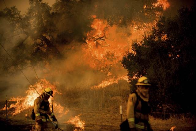 Theo Daily Mail (Anh), vụ cháy rừng này được đặt tên là Thomas, đã lan rộng trong phạm vi 958 km vuông và được ghi nhận là vụ hỏa hoạn tự nhiên lớn thứ 5 trong lịch sử bang California.