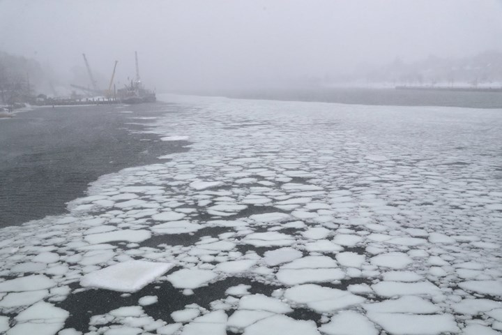 Nước đóng băng tại cảng New Haven. Ảnh: Getty Images