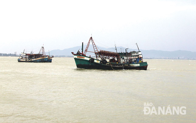 Ngư dân Đà Nẵng được tuyên truyền không đánh bắt tại các vùng biển nước ngoài. Ảnh: HOÀNG HIỆP