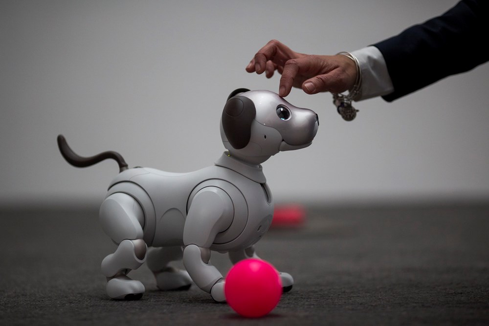 Thế hệ mới nhất của robot Aibo, sử dụng trí tuệ nhân tạo, được giới thiệu vào đêm trước của CES tại Las Vegas, Nevada, ngày 8/1. (Nguồn: AFP)