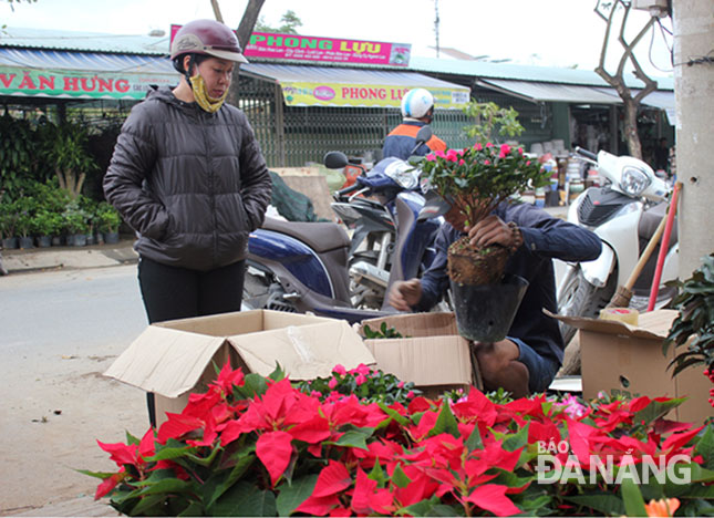 Local customers purchasing Tet flowers at