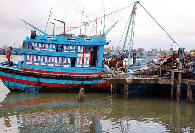 Nâng cấp, mở rộng cảng cá Thọ Quang