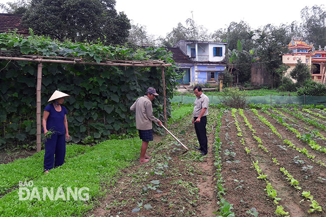 Ông Ngô Ngọc Hải (bên phải), Chủ tịch Ủy ban MTTQ Việt Nam xã Hòa Tiến vận động bà con trồng rau sạch tăng thu nhập.