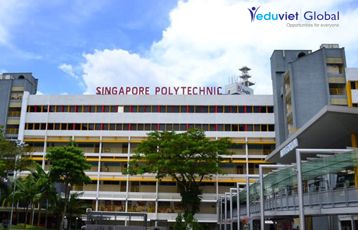 Trường Singapore Polytechnic đoạt giải nhất sáng tạo khoa học kỹ thuật sinh viên châu Á