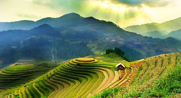 Terraced rice fields in Sa Pa (Photo: Internet)