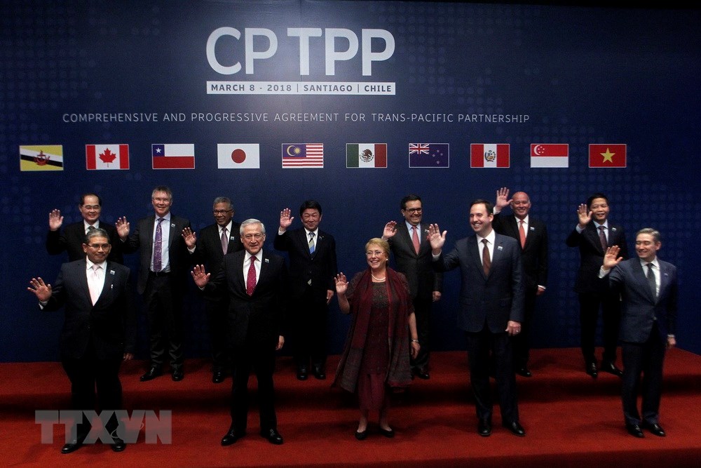 Bộ trưởng Công Thương Trần Tuấn Anh (thứ nhất, phải, hàng sau) cùng đại diện 10 nước tham gia lễ ký Hiệp định CPTPP chụp ảnh chung tại Santiago ngày 8/3. (Nguồn: AFP/ TTXVN)