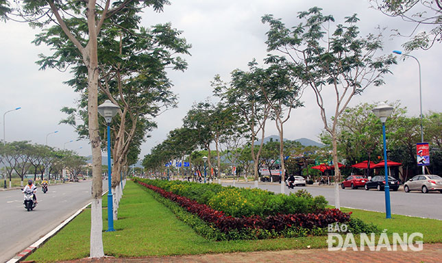 Hệ thống cây xanh phủ bóng mát dọc tuyến đường Nguyễn Sinh Sắc.