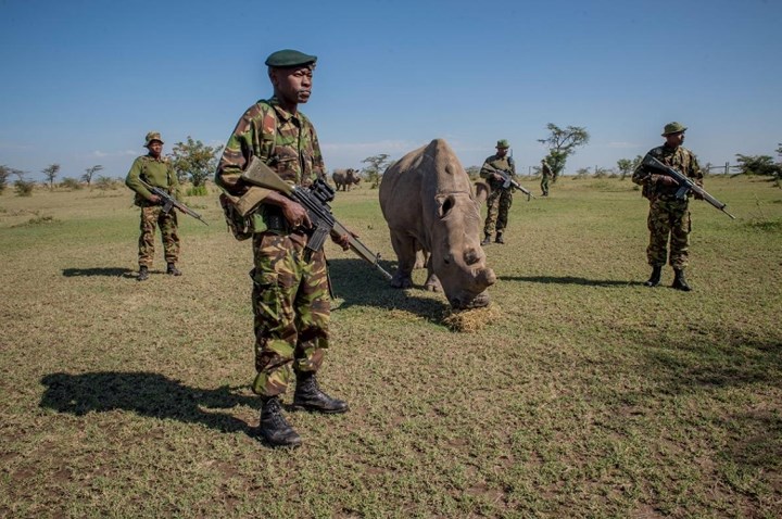 Trước đó, chỉ để bảo vệ an toàn cho Sudan, Kenya đã phải huy động cả một trung đội lính được trang bị vũ khí hiện đại canh gác ngày đêm. Ảnh: AFP