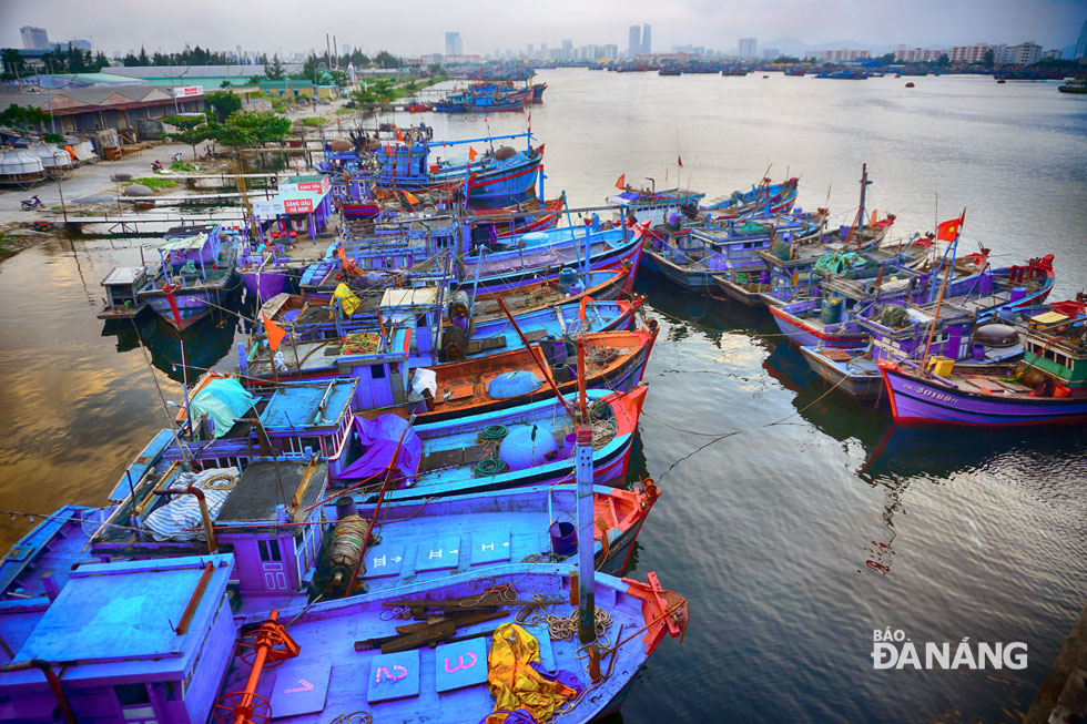  Fishing vessels being anchored bumper-to-bumper at the Tho Quang Fishing Wharf