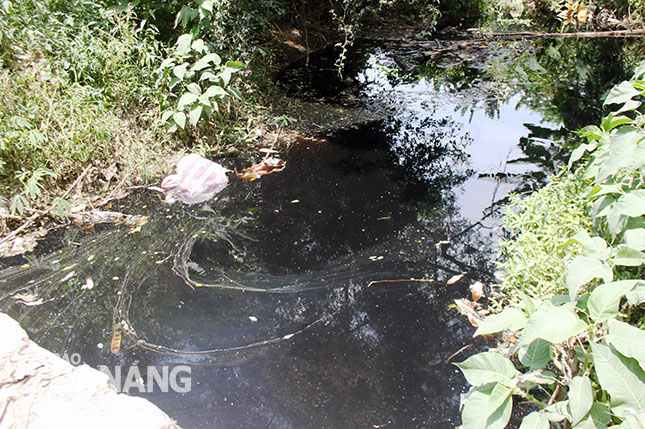 Nước rỉ rác đen ngòm từ bãi rác Khánh Sơn chảy về gây ô nhiễm môi trường khu dân cư và nhuộm đen kênh Đa Cô. Ảnh: H.HIỆP