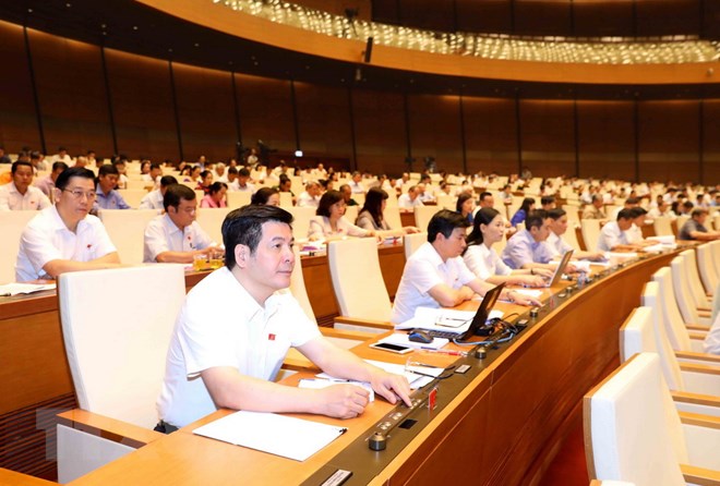 Đại biểu Quốc hội tỉnh Thái Bình biểu quyết thông qua dự thảo Luật Quốc phòng (sửa đổi). Ảnh: Phương Hoa/TTXVN