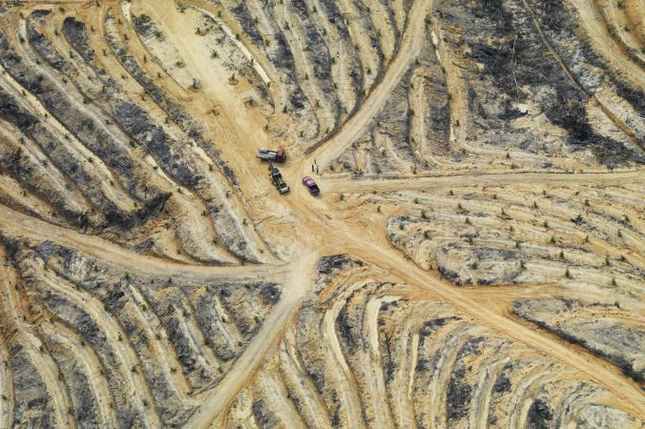 Hình ảnh vệ tinh cho thấy rừng ở Johor, Malaysia được “gọt” sạch để trồng đậu nành, dầu cọ, nuôi gia súc…