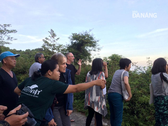 Các đại biểu GEF 6 tham quan bán đảo Sơn Trà và ngắm voọc chà vá chân nâu.