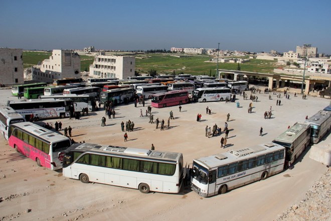 Xe buýt sơ tán người dân và các tay súng Syria dừng lại tại một điểm trung chuyển ở Rashidin ngày 19/4. (Nguồn: AFP/TTXVN)