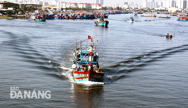 Nhờ chính sách hỗ trợ đóng mới tàu cá, Đà Nẵng đã có những tổ, đội tàu công suất lớn vươn khơi, đánh bắt ở những vùng biển xa, giúp nâng cao hiệu quả kinh tế và góp phần gìn giữ chủ quyền biển, đảo. Ảnh: HOÀNG HIỆP